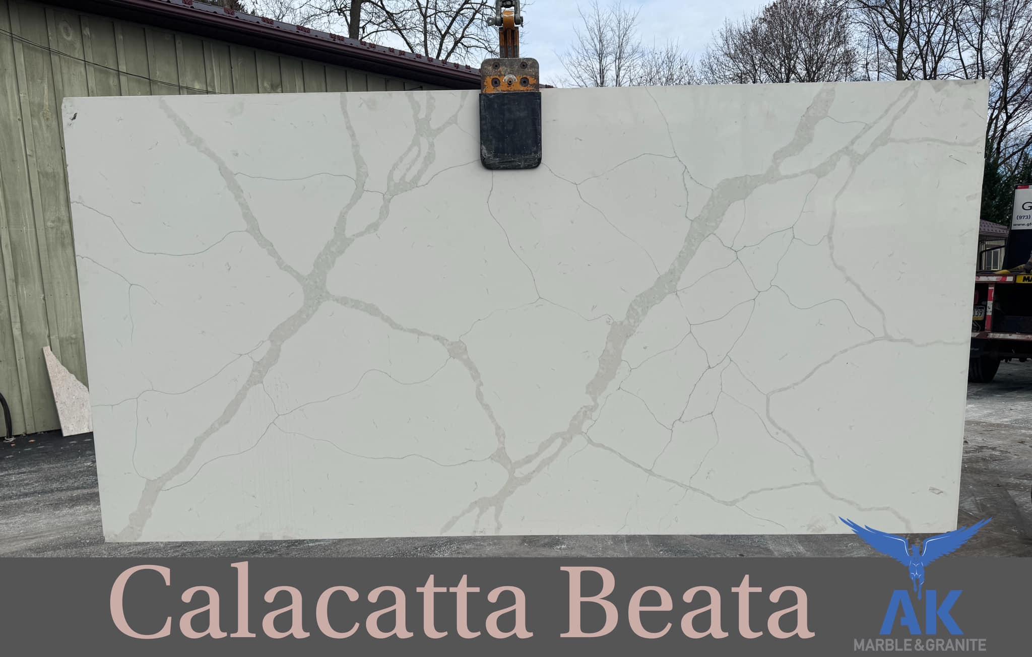 Calacatta Beata Quartz