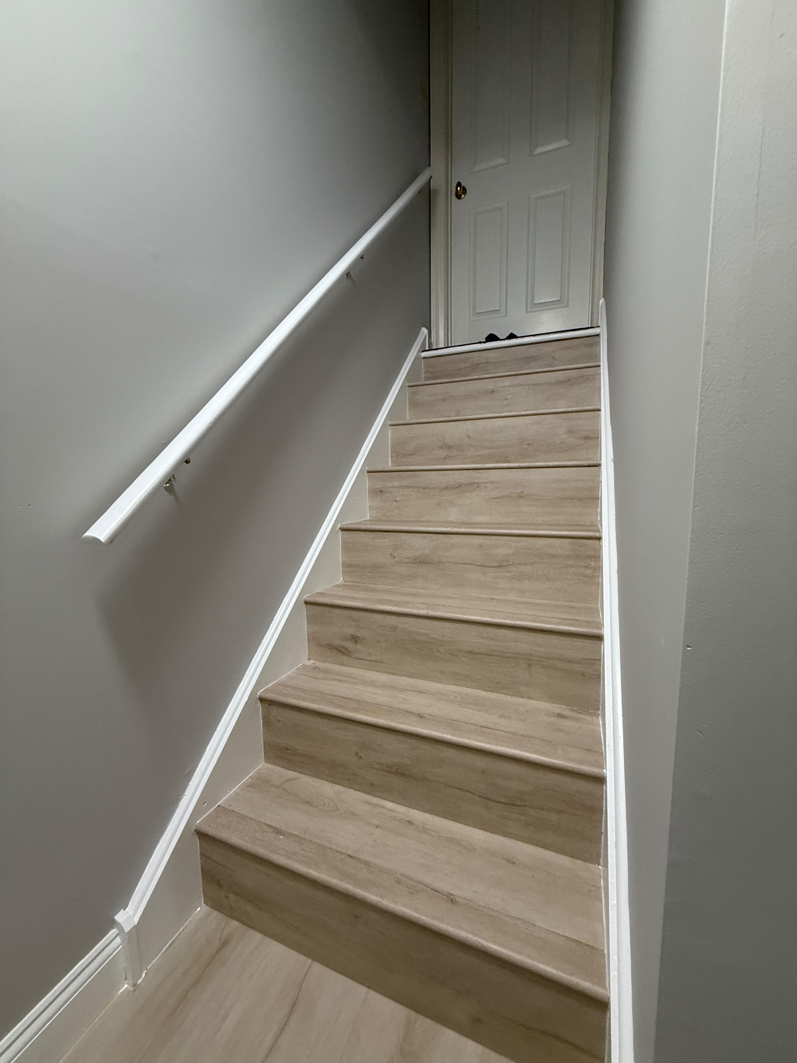 Luxury Basement Project
